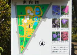 �����ē��}