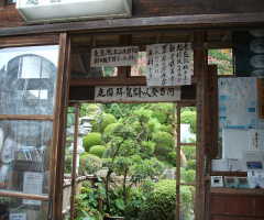 �뉀�����̗l�q