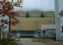 �S��n�M���d��