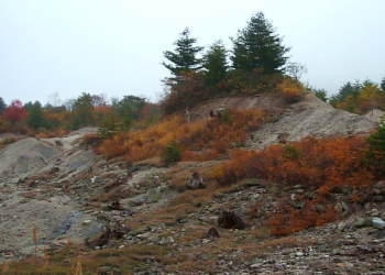 �ЎR�n���̕��i