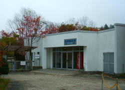 �����W����