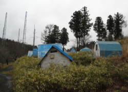 �o���K���[