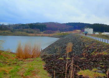 �������_��