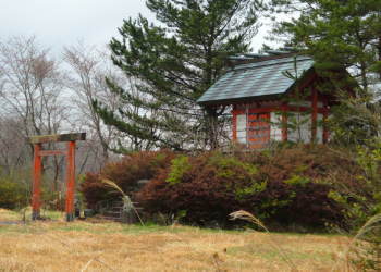 ���P�ق̗��ɂ����̐_��