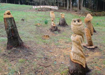 �`�F�[���\�[�A�[�g���