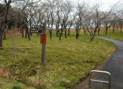 �{���Փ���