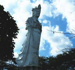 �D�����a�ω�