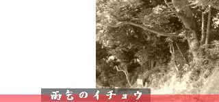 �J��̃C�`���E