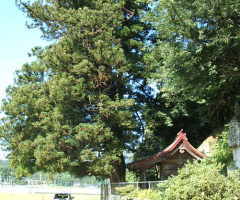 �啧�X�M�i�啧���j