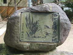 �͓������̒r�̔�