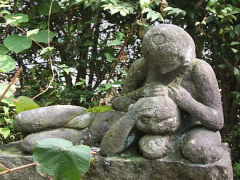 �e�q�͓̉���