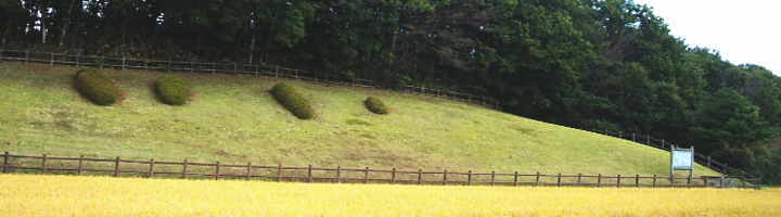 �F���Õ��Q�S�i