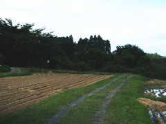 ���̏o�R���q�ՂւƑ�����