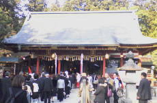 ���{�ƉE�{