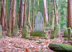 �c�������̕�