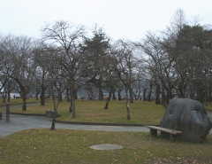 �v������