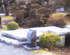 �v������