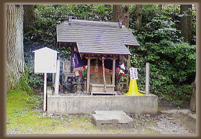 �����ϐ�����F