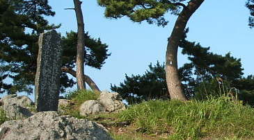 ���E�q��̔�