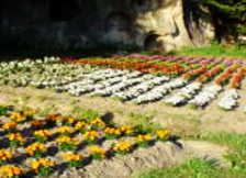 ��㉡���Õ��Q�̉Ԓd