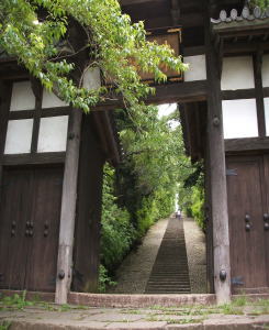 �����Ƌ}�ȊK�i