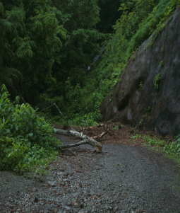 �R���̕��i