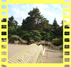 �S���̃A�X���`�b�N