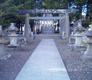 �����E�������_��