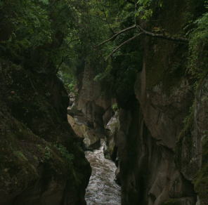 �k�J�̗l�q�Q