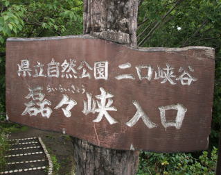 �����Ŕ�