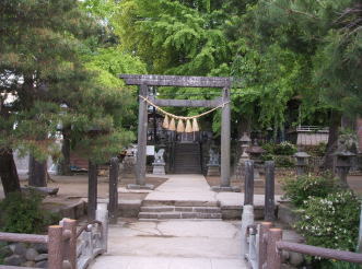 �{������