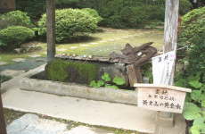 ���y�R�̉�����