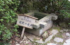 �����̈��