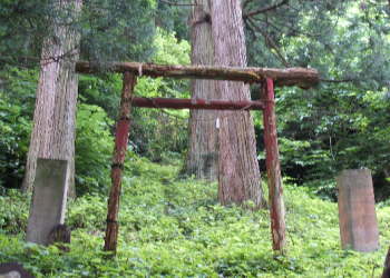 ���̉@����