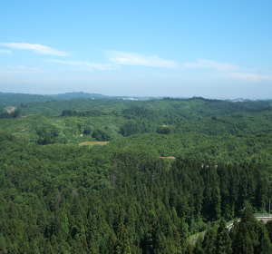 �W�]�䂩��̌i�F�Q