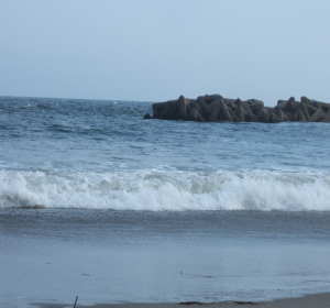 �[���C��