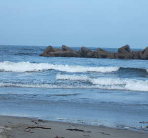 �[���C��