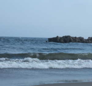 �[���C��