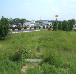 �Õ��̏ォ��̌i�F