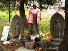 �S���n����