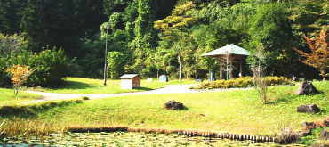 �����R�Y�����