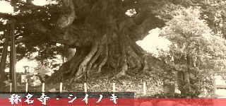 �̖����E�̖����̃V�C�m�L